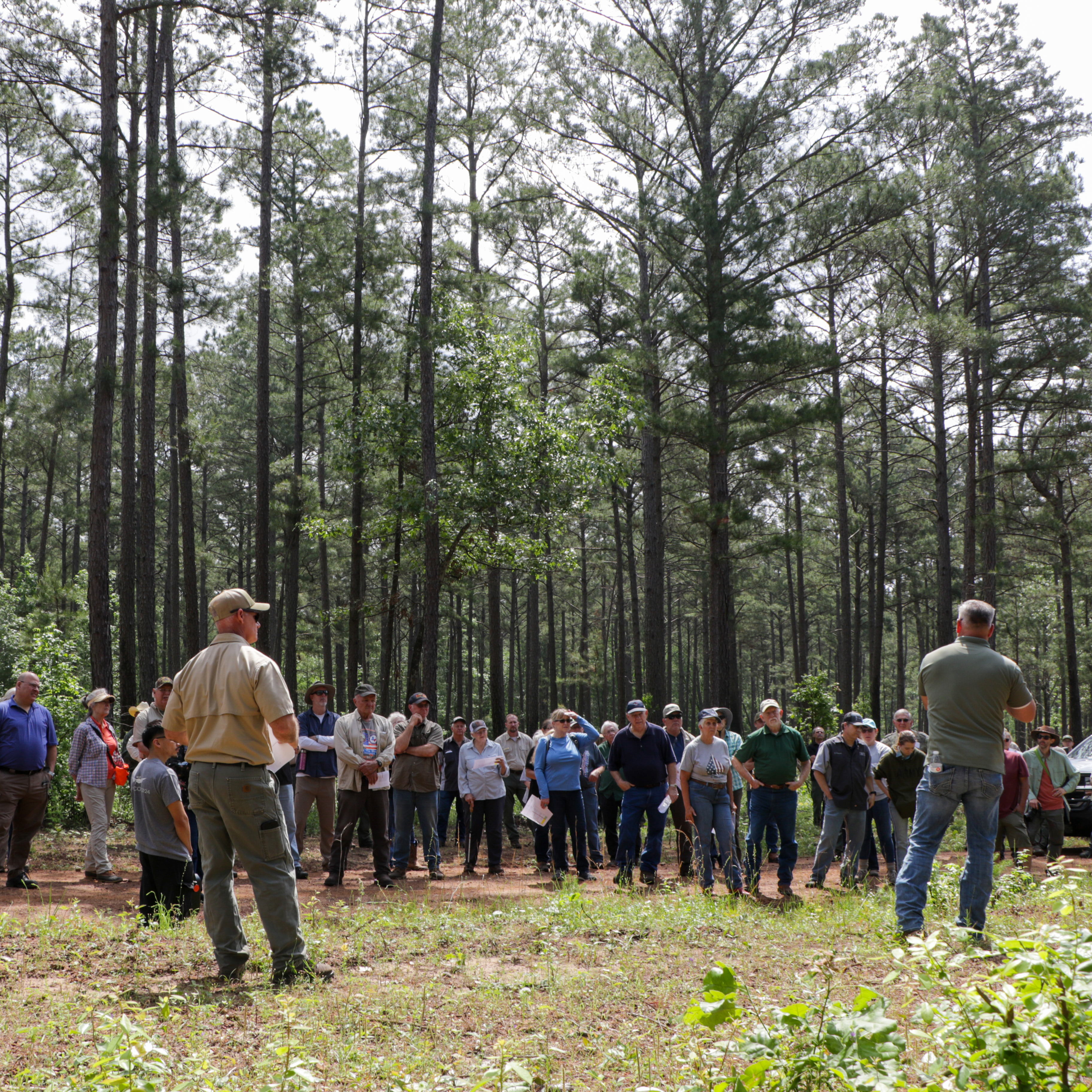 On April 26, 2025, East Texas landowners gathered at the I.D. Fairchild State Forest in Cherokee County to commemorate its centennial year. This is the second of three State Forest Centennial Celebration events.